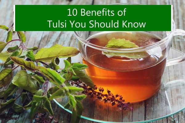 10 Benefits of Tulsi You Should Know