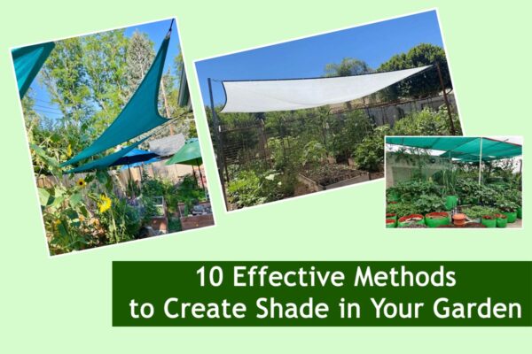 10 Effective Methods to Create Shade in Your Garden