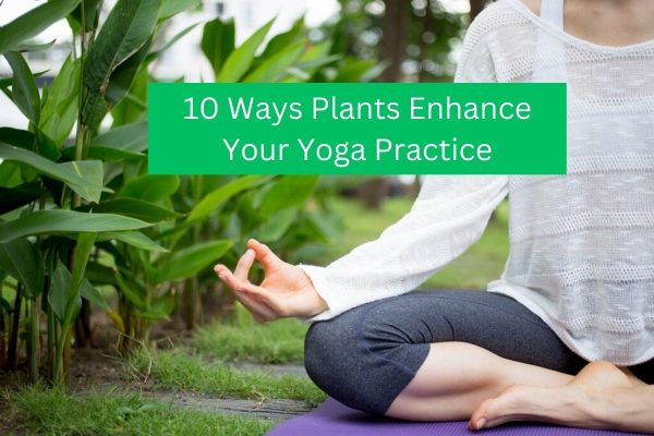 10 Ways Plants Enhance Your Yoga Practice