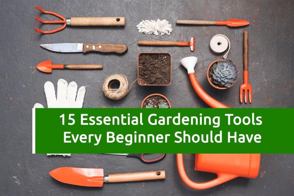 15 Essential Gardening Tools Every Beginner Should Have | Plants ...