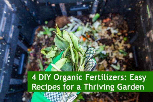 4 DIY Organic Fertilizers: Easy Recipes for a Thriving Garden