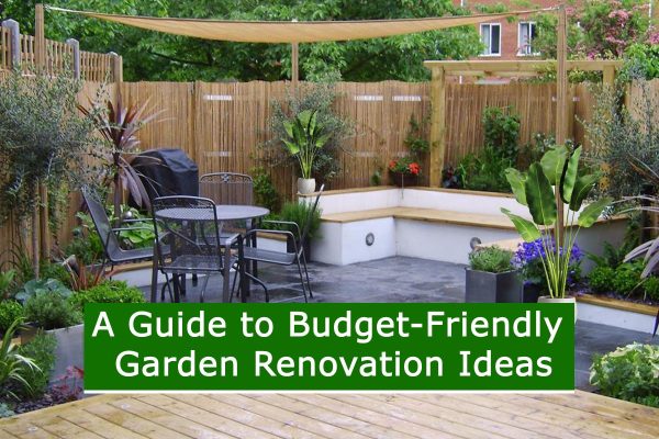 A Guide to Budget-Friendly Garden Renovation Ideas