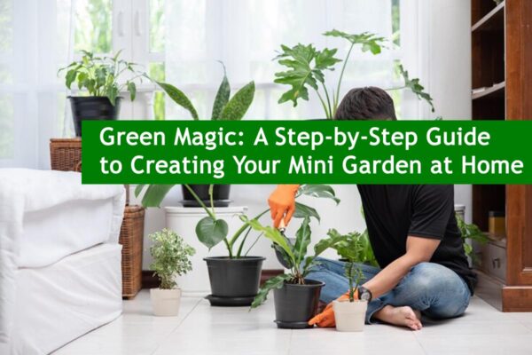 Green Magic: A Step-by-Step Guide to Creating Your Mini Garden at Home