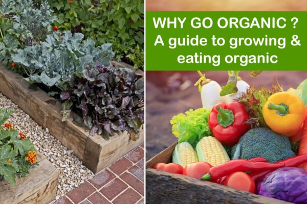 WHY GO ORGANIC ? : A guide to growing & eating organic