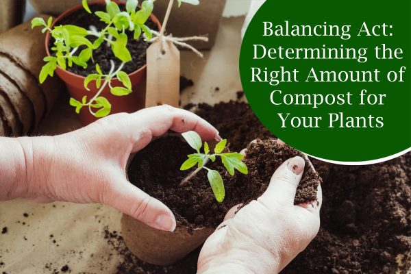 Balancing Act: Determining the Right Amount of Compost for Your Plants