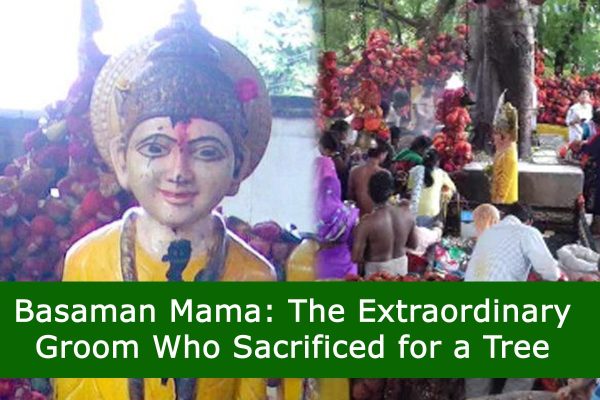 Basaman Mama: The Extraordinary Groom Who Sacrificed for a Tree