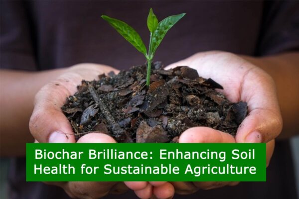 Biochar Brilliance- Enhancing Soil Health for Sustainable Agriculture