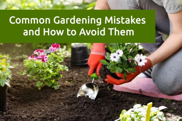 Common Gardening Mistakes