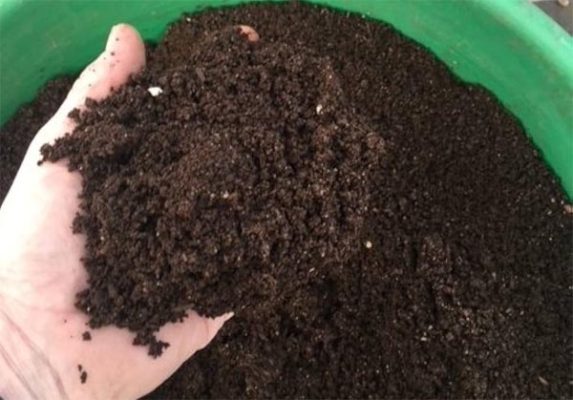 Compost is Ready to Transform