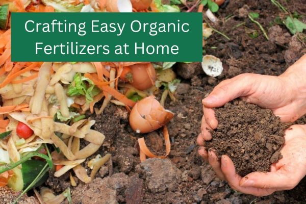 Crafting Easy Organic Fertilizers at Home