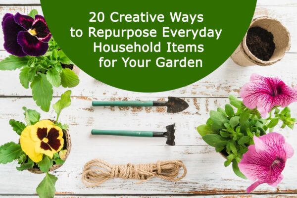 Creative Ways to Repurpose Everyday Household Items for Your Garden