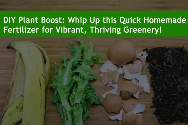 DIY Plant Boost: Whip Up this Quick Homemade Fertilizer for Vibrant, Thriving Greenery!