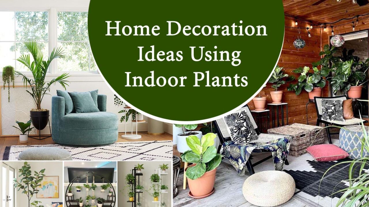 Home Decoration Ideas Using Indoor Plants | Plants Information