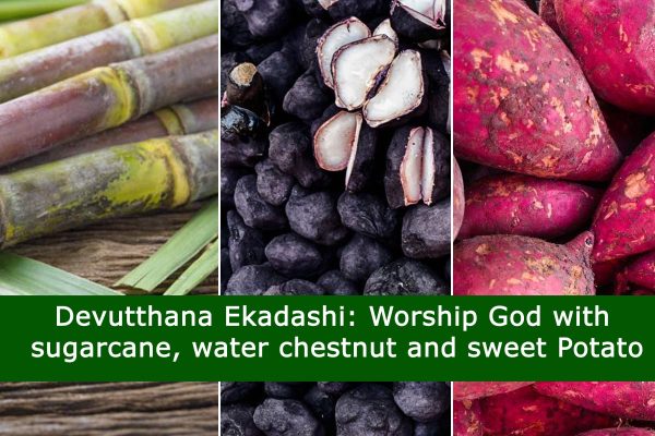 Devutthana Ekadashi: Worship God with sugarcane, water chestnut and sweet Potato