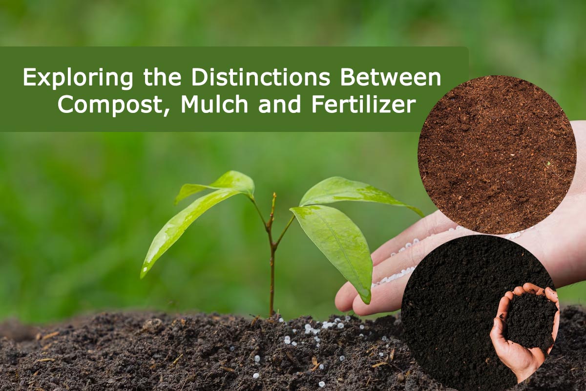 Exploring the Distinctions Between Compost, Mulch and Fertilizer ...