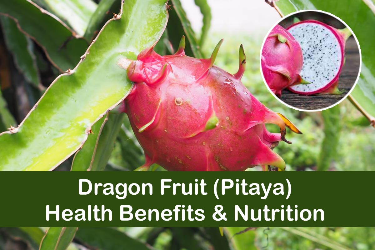 What Is Dragon Fruit? Benefits, Flavor, And How To Eat It