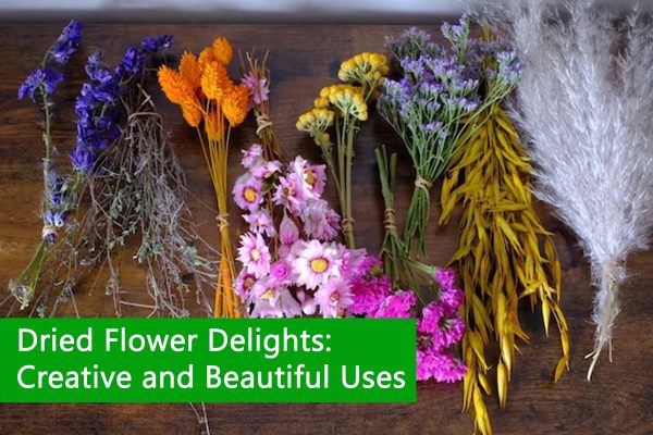 Dried Flower Delights: Creative and Beautiful Uses