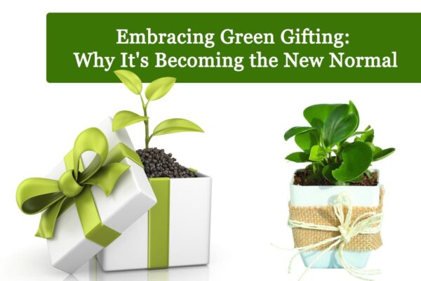 Embracing Green Gifting: Why It's Becoming the New Normal