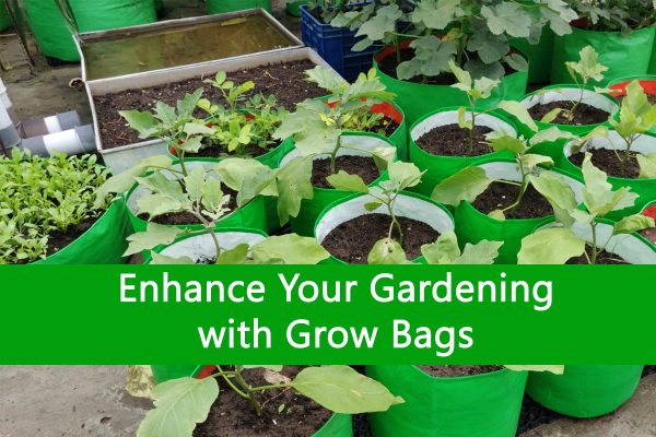 Enhance Your Gardening with Grow Bags