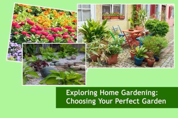 Exploring Home Gardening: Choosing Your Perfect Garden