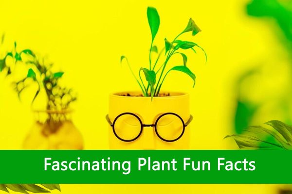 Fascinating Plant Fun Facts