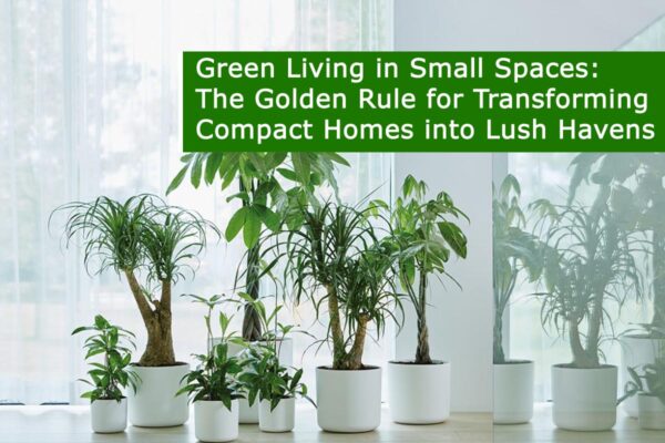 Golden Rule for Transforming Compact Homes into Lush Havens