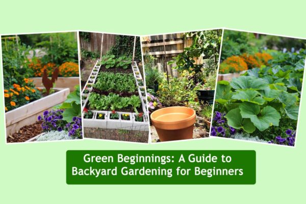 Green Beginnings: A Guide to Backyard Gardening for Beginners