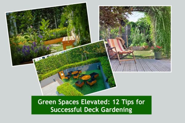 Green Spaces Elevated: 12 Tips for Successful Deck Gardening