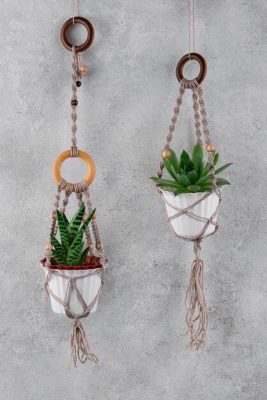 Hanging Planters for Vertical Elegance