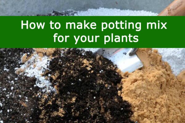 How to make potting mix for your plants