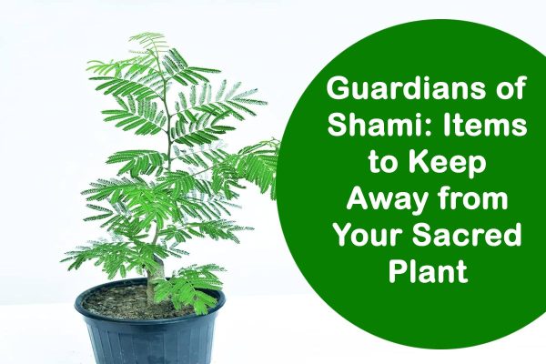 Guardians of Shami: Items to Keep Away from Your Sacred Plant