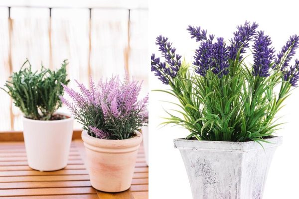 Lavender Dreams: Transforming Your Bedroom into a Serene Haven