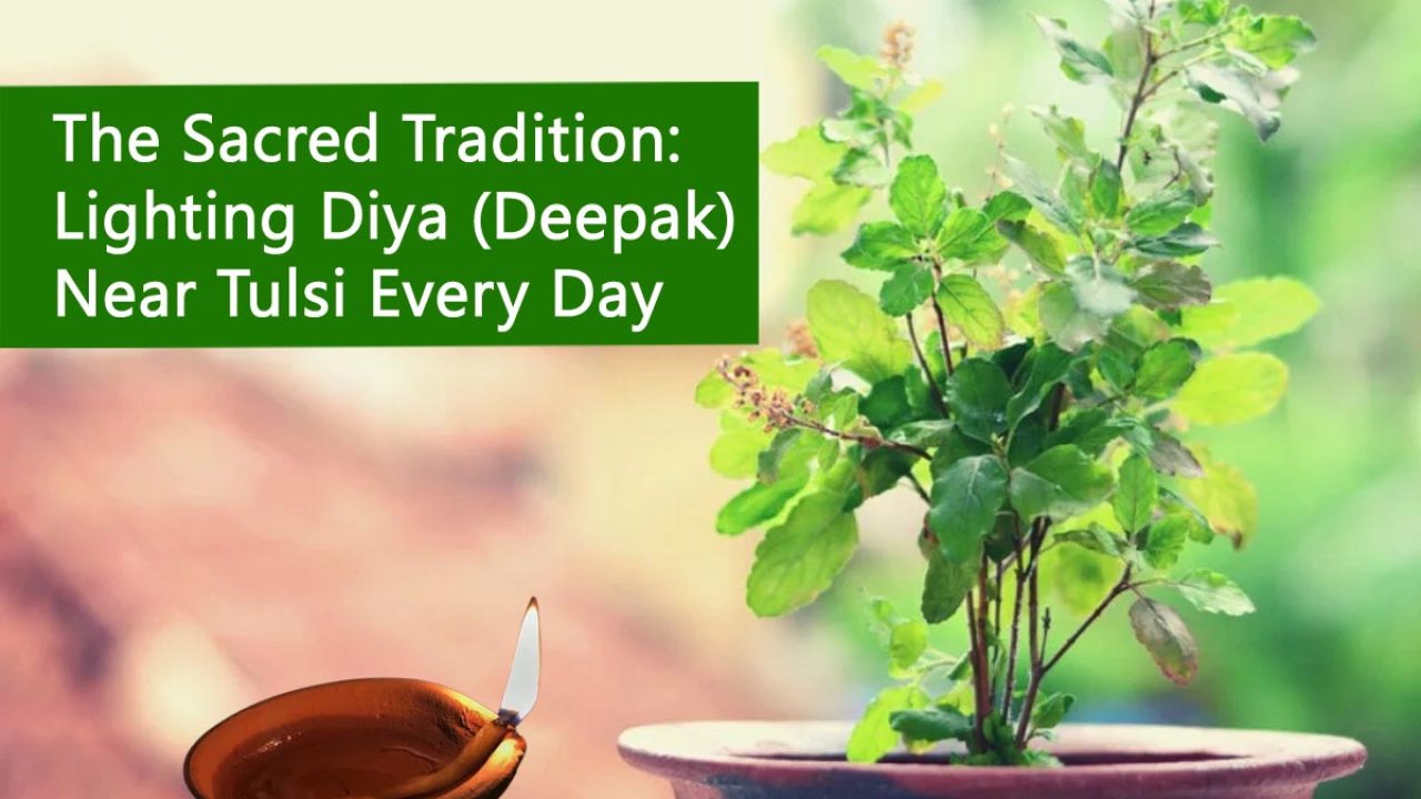 The Sacred Tradition: Lighting Diya (Deepak) Near Tulsi Every Day