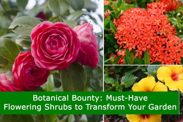 Botanical Bounty: Must-Have Flowering Shrubs to Transform Your Garden