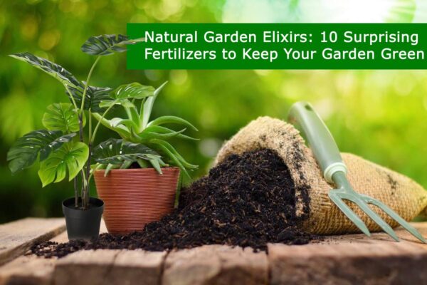 Natural Garden Elixirs: 10 Surprising Fertilizers to Keep Your Garden Green