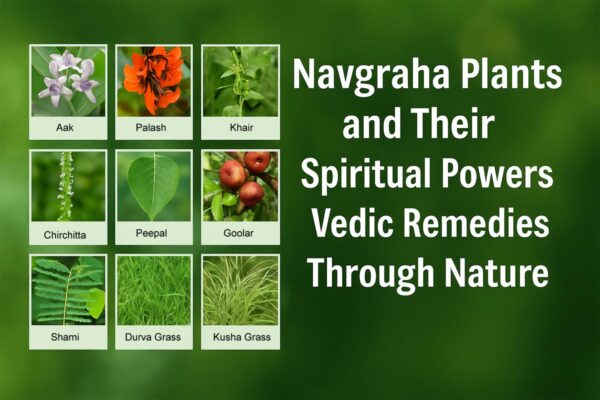 Navgraha Plants and Their Spiritual Powers