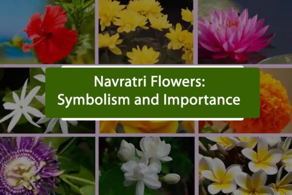 Navratri Flowers: Symbolism and Importance