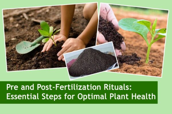 Pre and Post-Fertilization Rituals: Essential Steps for Optimal Plant Health