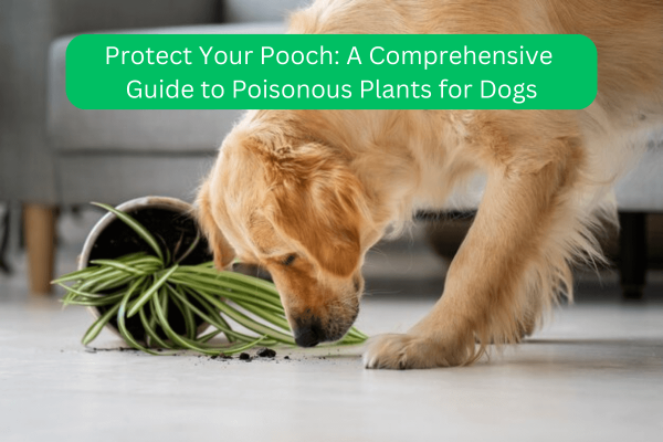 Protect Your Pooch: A Comprehensive Guide to Poisonous Plants for Dogs