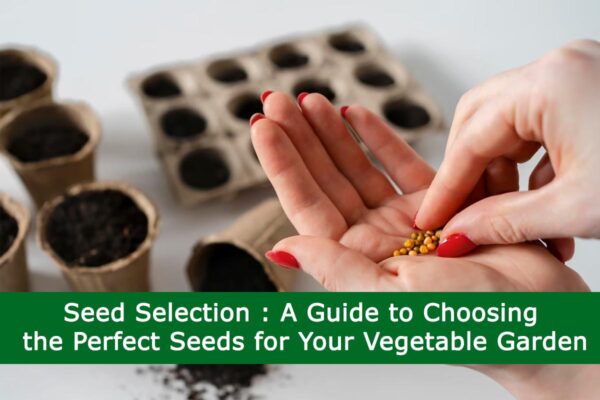 Seed Selection : A Guide to Choosing the Perfect Seeds for Your Vegetable Garden