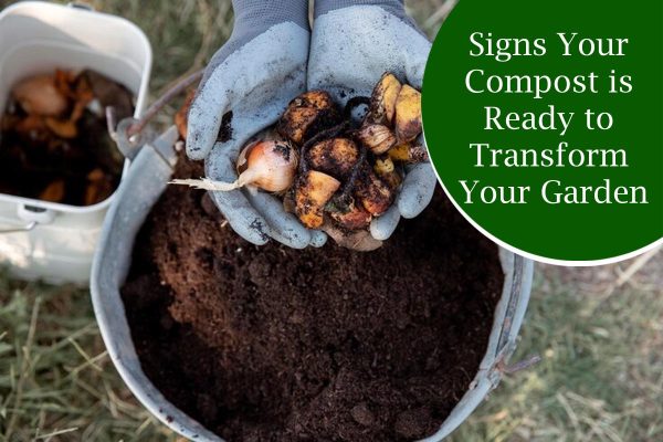 Signs Your Compost is Ready to Transform Your Garden