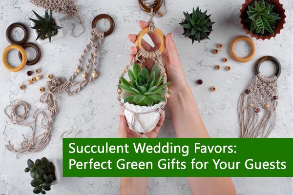 Succulent Wedding Favors: Perfect Green Gifts for Your Guests