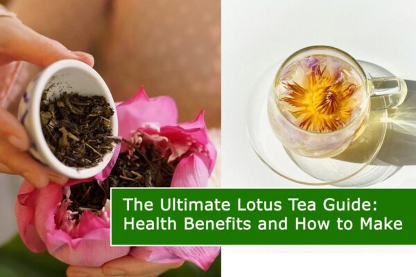 The Ultimate Lotus Tea Guide: Health Benefits and How to Make