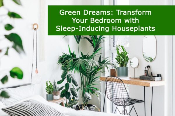 Green Dreams: Transform Your Bedroom with Sleep-Inducing Houseplants