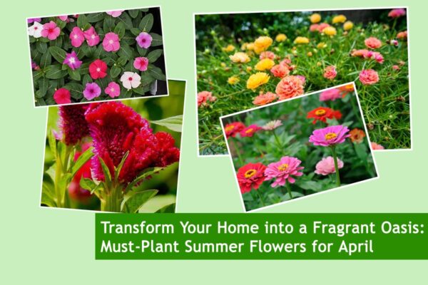 Transform Your Home into a Fragrant Oasis: Must-Plant Summer Flowers for April