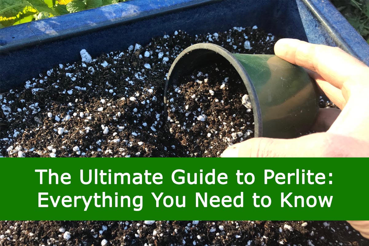 Ultimate Guide To Perlite 