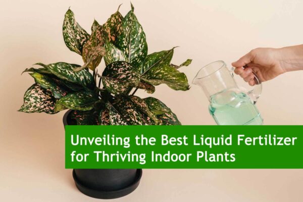Unveiling the Best Liquid Fertilizer for Thriving Indoor Plants
