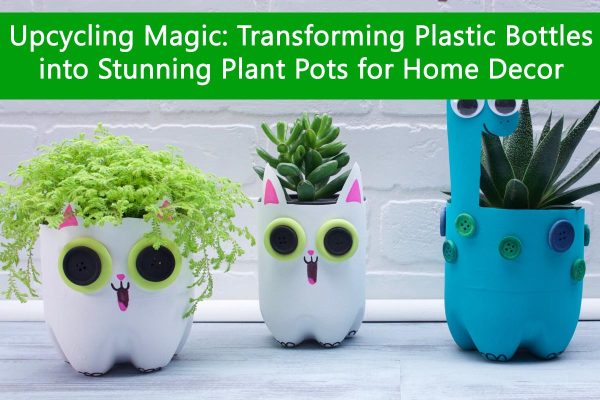Upcycling Magic: Transforming Plastic Bottles into Stunning Plant Pots for Home Decor