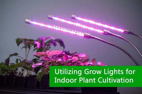 Utilizing Grow Lights for Indoor Plant Cultivation