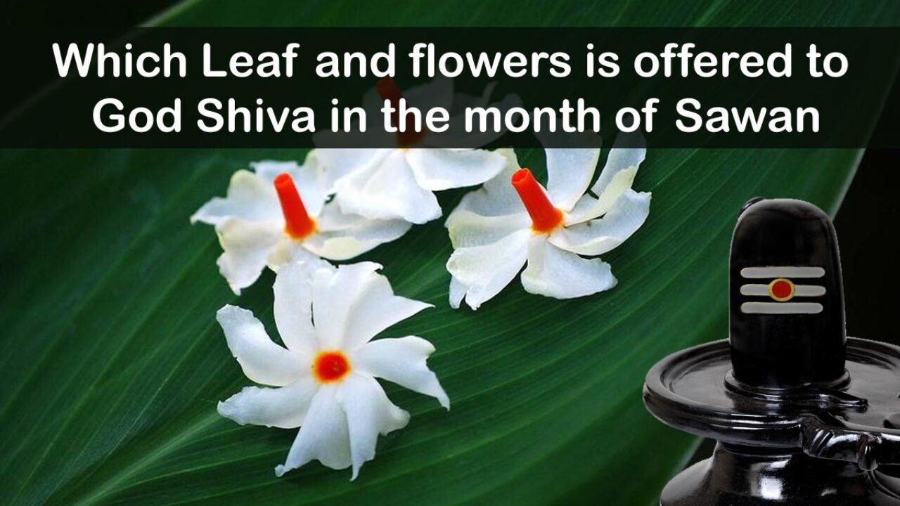 What Colour flowers does Lord Shiva like?